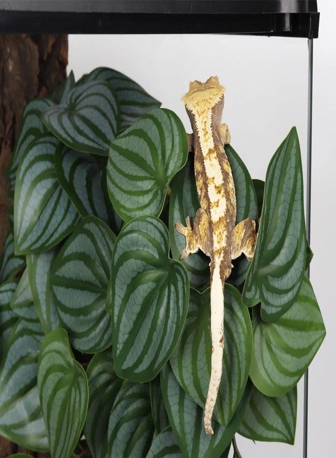 WOLEDOE 2Pack Reptile Fake Plants for Terrarium, Snake Tank Accessories, Habitat Decor Artificial Hanging Plants with Suction Cup - Fake Calathea Orbifolia - Image 4